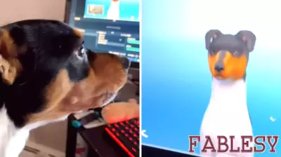 Dog's Hilarious Reaction to Video Game Doppelgänger Leaves Owner Amused
